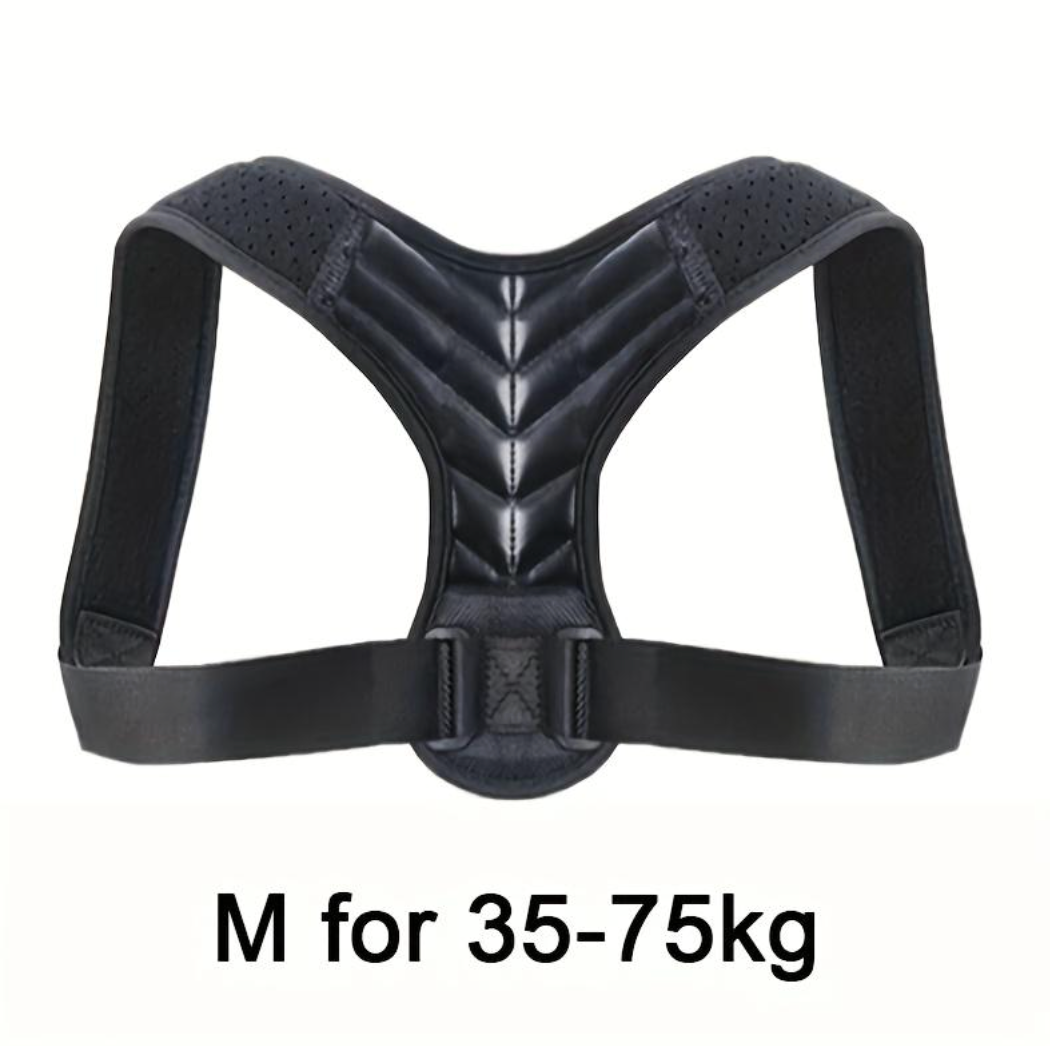 Adjustable Posture Support