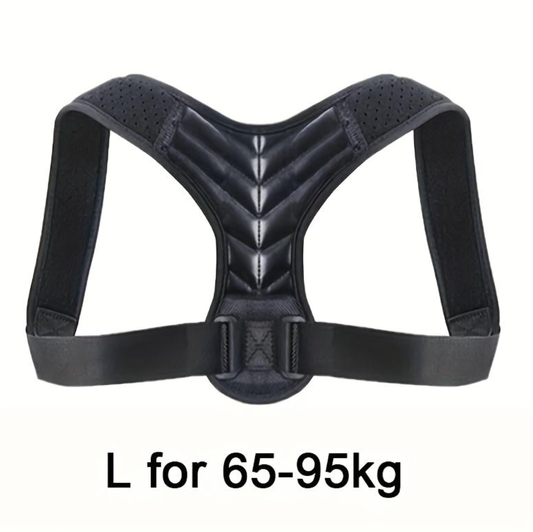 Adjustable Posture Support